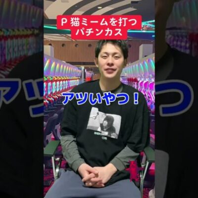 【パチンコ】P猫ミームを打つ人