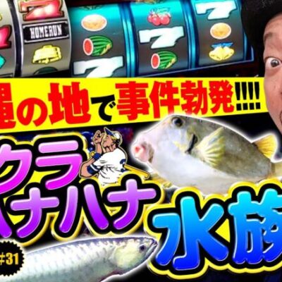 【いざ沖縄！浮かれ気分で事件勃発!?】明日に向かって打てF 第31回《嵐》ハナハナホウオウ～天翔～-30［パチスロ・スロット］