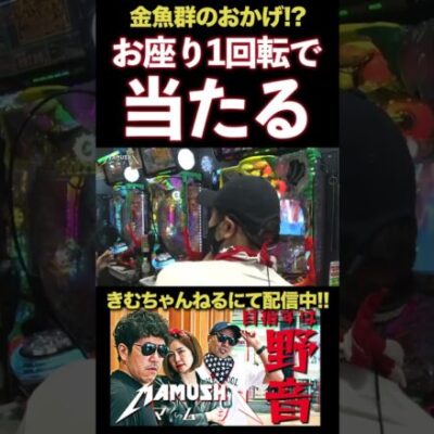 1回転で当てる!!【マムシ〜目指すは野音〜】 #木村魚拓 #松本バッチ #青山りょう #shorts