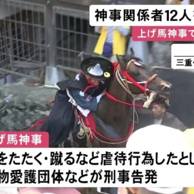 【悲報】馬に虐待か…『上げ馬神事』関係者ら12人を書類送検